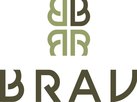 Logo BRAV Holding BV